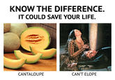 KNOW THE DIFFERENCE. IT COULD SAVE YOUR LIFE. CANTALOUPE CAN'T ELOPE