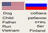 Dog Child Father Run Vietnam Finland собака ребенок отец бег