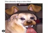 Dog with the "snapchat":/memes/sites/snapchat dog filter applied
