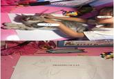 GIRL CAT f* DRAWING OF CAT