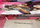 Triggei Evangelion Darling in the franxx asr.saurabh7