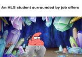 An HLS student surrounded by job offers
