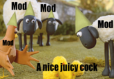 ModMod Mod Mod A nice juicy c---