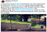 Melania Trump @FLOTUS I had the honor to contribute to the beautiful & historic @WhiteHouse grounds today by planting a sapling from the Eisenhower Oak. Thank you to @WhiteHouseHstry for organizing the #Presidentia!Sites and to the previous first family descendants who joined us today.