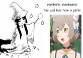 bombanis bombeenis this cat has now a penis