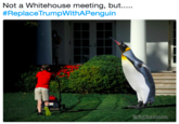 Not a Whitehouse meeting, but. #ReplaceTrumpWithAPenguin