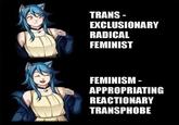 TRANS EXCLUSIONARY RADICAL FEMINIST FEMINISM APPROPRIATING REACTIONARY TRANSPHOBE
