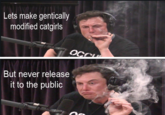 Lets make gentically modified catgiris But never release it to the public