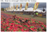 Twitter meme of people sliding down a path of watermelons, a clear sign we've had too much internet today.