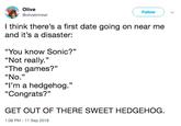 Olive @olivebrinker Follow ) I think there's a first date going on near me and it's a disaster: "You know Sonic?" "Not really." "The games?" "No. "I'm a hedgehog." "Congrats?" 35 יף, GET OUT OF THERE SWEET HEDGEHOG. 1:08 PM 11 Sep 2018