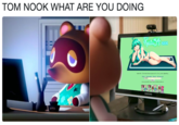 TOM NOOK WHAT ARE YOU DOING