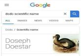 Google dodo scientific name ALL IMAGES NEWS VIDEOS MAPS Dodo Scientific name Doseph Doestar