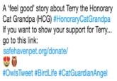 A 'feel good' story about Terry the Honorary Cat Grandpa(HCG) #HonoraryCatGrandpa If you want to show your support for Terry... go to this link: safehavenpet.org/donate/ #OwlsTweet #Bird Life #CatGuardianAngel
