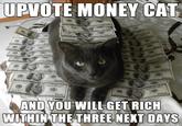UPVOTE MONEY CAT 0) AND YOU WILL GET RICH WITHINTHE THREE NEKT DAYS