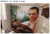 Shower curtain with "Jeff Goldblum":/memes/people/jeff-goldblum imprinted on it with caption joking that mildew finds a way, instead of the word "life" in the catchphrase