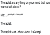 Therapist: so anything on your mind that you wanna talk about? Me: zendaya is meechee Therapist: Therapist: and Lebron James is Gwongi