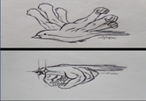 Bird Arm Drawring Birds with Arms | Know Your Meme