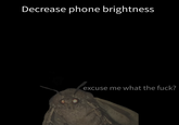 Decrease phone brightness excuse me what the f---?