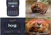 10 log CO
