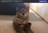 he Boot Too Big For He Gotdamn Feet by theworldlylie via iPhone Sep 30 2016 Next Post>