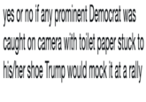 yes or no if any prominent Democrat was caught on camera with toilet paper stuck to his/her shoe Trump would mock it at a rally