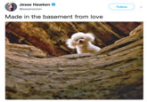 Jesse Hawken @jessehawken Follow Made in the basement from love