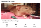 taking the psat Rat Clenches Fist of Rage 26K views 1白 2K 13 Share Add to
