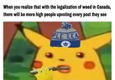 When you realize that with the legalization of weed in Canada, there will be more high people upvoting every post they see PLE LEA