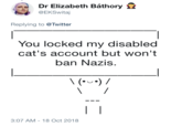 Dr Elizabeth Báthory @EKSwitaj Replying to @Twitter You locked my disabled cat's account but won't ban Nazis 3:07 AM-18 Oct 2018