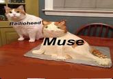 Radiohead Muse