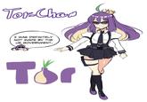 Tor-Chan I WAS DEFINITELY NOT MADE BY THE US GOVERNMENT
