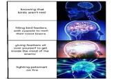 knowing that birds aren't real filling bird feeders with cyanide to melt their robot brains gluing feathers all over yourself to get inside the mind of the enemy lighting petsmart on fire