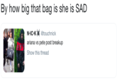 By how big that bag is she is SAD N IC.Ki @touchnick ariana vs pete post breakup Show this thread