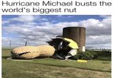 Hurricane Michael busts the world's biggest nut