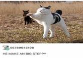 56789645198 HE MAKE AN BIG STEPPY