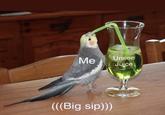 Unsee e Juice (Big sip))) bird parrot beak