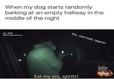 When my dog starts randomly barking at an empty hallway in the middle of the night ALL NEW #GhostAdventures the mermaid lagoon ALL NEW UNKNOWN WEDNESDAY vel Eat my ass, spirits!