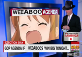 WEEAB OOAGENDA ERECTION NIGHT inAMERICA ERECTION DAY |RAND WOLF-SAN GOP AGENDA IF WEEABOOS WIN BIG TONIGHT DOWA 137.48