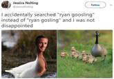 Meme from "list on ebaums":http://www.ebaumsworld.com/pictures/32-memes-to-make-your-day-better/85808462/ of someone who was looking for "Ryan Gosling":/memes/people/ryan-gosling but put in an extra O letter and was not disappointed. "Original Tweet":https://twitter.com/JessicaNolting/status/780414932710002689 was sent out by Jessica Nolting 