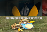 NNOH PION XIV SINNOH CONFIRME