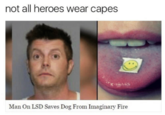 not all heroes wear capes Man On LSD Saves Dog From Imaginary Fire