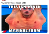 Meme from a few years ago in the "impact":/memes/impact font of a diver with the "This Isn't Even My Final Form":/memes/this-isnt-even-my-final-form "catchphrase":/memes/catchphrases retweeted with the Weird Flex But OK catchphrase as a caption.