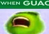 WHEN GUAC