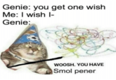 Genie: you get one wish Me: I wish Genie; WOOSH. YOU HAVE Smol pener