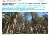 Kristiina Vahvaselkä @TravelWithXtina Follow Greetings from #Finland! Just finished raking leaves here. #RakeAmericaGreatAgain #RakeTheForest #Trump #SundayFunday #SundayMorning #rakenews #CaliforniaWildFires #ClimateChange #haravointi #metsänhoito #ilmastonmuutos #Suomi 8:44 AM -18 Nov 2018