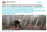Pyry Luminen @pyryluminen Follow Just an ordinary day in the Finnish forest ~ lhan normipäivä suomalaisessa metsässä #Trump #forest #fresafety #raking orestry #Finland #Finnish #CaliforniaFire #RakingAmericaGreatAgain #rakingtheforest #Suomi #haravointi #metsäpalot #raking leaves 10:13 AM-18 Nov 2018