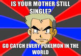 IS YOUR MOTHER STILL SINGLE? GO CATCH EVERY POKEMON IN THE WORLD
