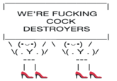 WE'RE F------ C--- DESTROYERS