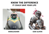 KNOW THE DIFFERENCE IT COULD SAVE YOUR LIFE 45 BOBSLEIGHER GOB SLAYER