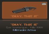 original joke do nut steal OKAY. THIS IS OKAY, THIS IS Epic Scattergun- Kills: 5000 Killstreaks Active